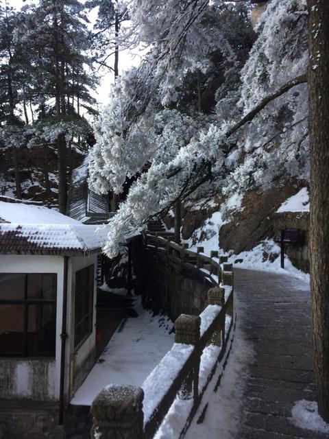日本人的文化教养,日本人的文化博大精深