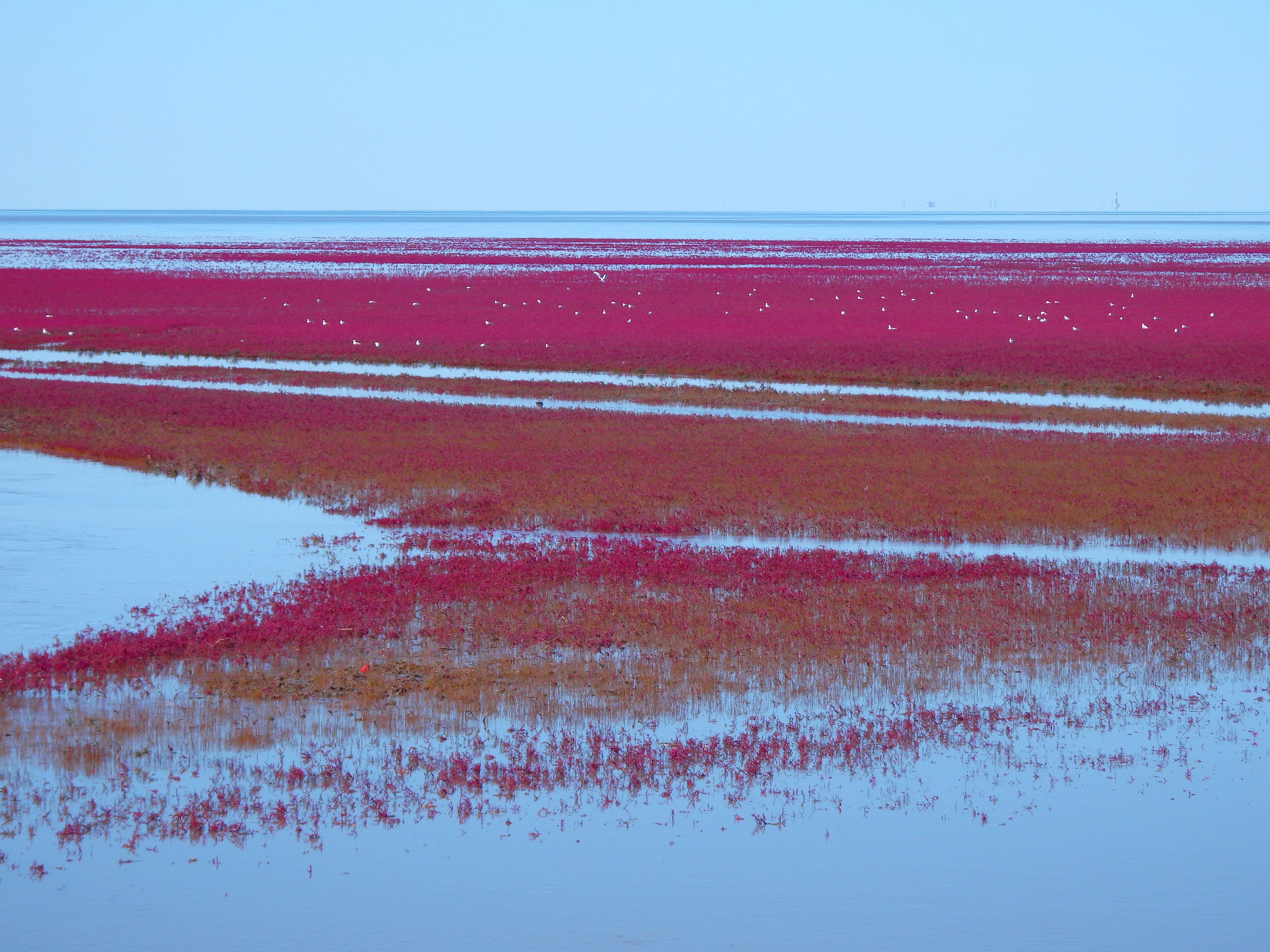 北京的北边有片红红的海北京很多人都没有去过
