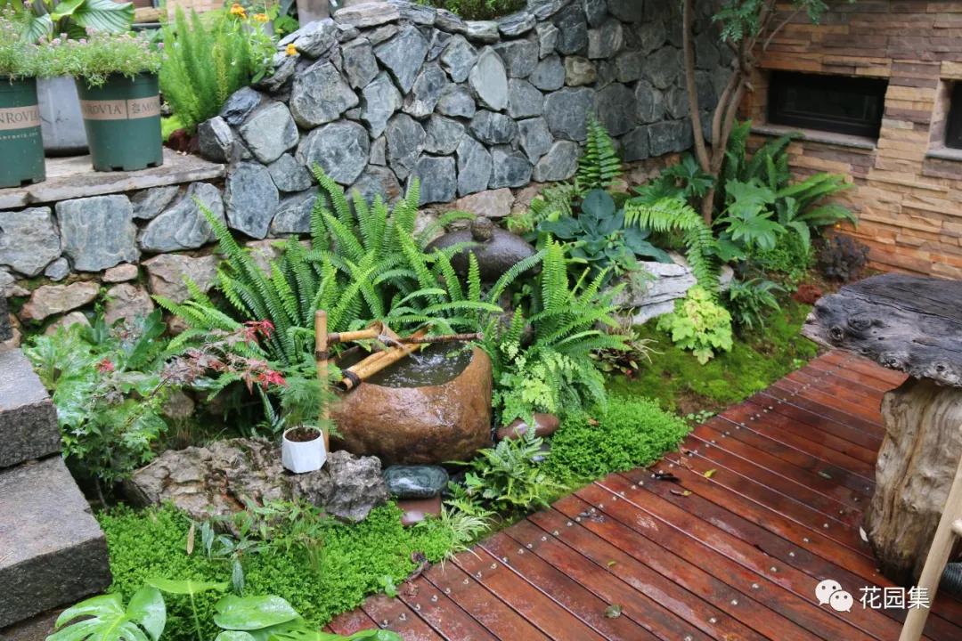 小花园最新改造,改造一个小花园真的太不容易了