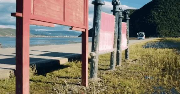 带你Get《司藤》同款神仙美景,春天的香格里拉这样玩