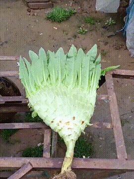 把中间的门店租下来取什么名字好,租下门面不知道取什么名字