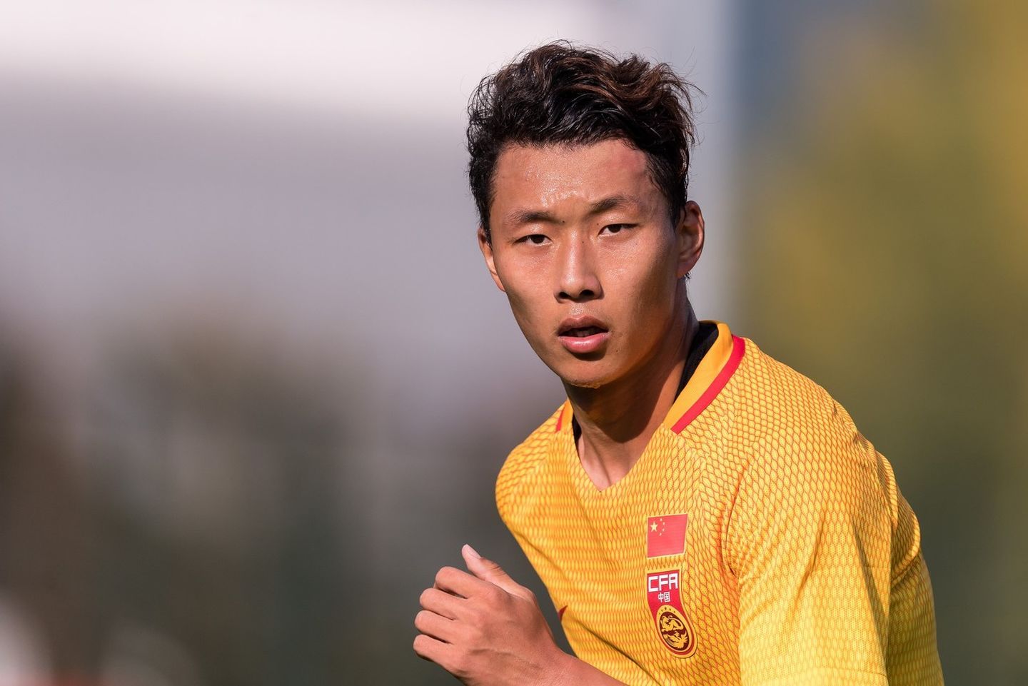 11连宣后，武汉仍有新人来投，黄紫昌姆比亚已在树上