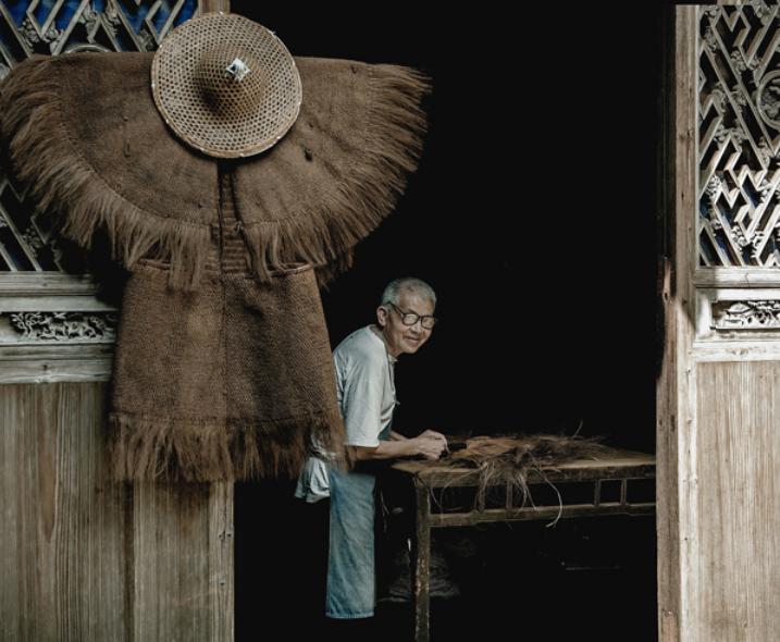 俗话说；“千棵棕万棵桐，子子孙孙都不穷”，你家里种过吗？