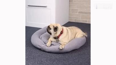 旧枕头套千万别扔掉,旧的枕头怎么处理可以直接扔掉吗