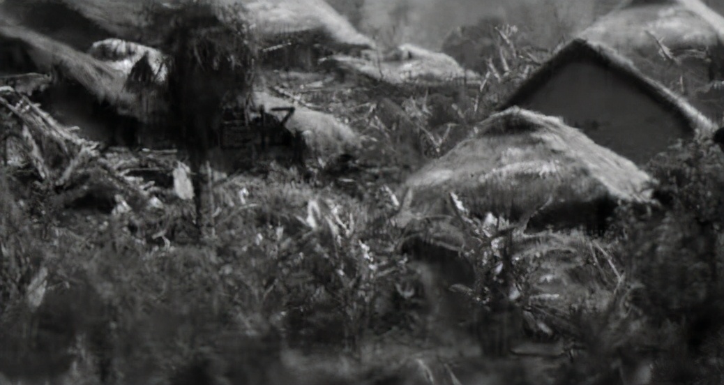 东莞普洱库存40万吨,东莞30万吨普洱茶