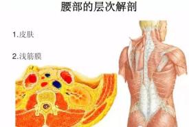 腰椎无法弯曲最好的恢复方法,腰椎弯曲度不够怎么治疗