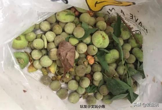 可以包浆的手串,什么手串可以随便盘玩还能包浆