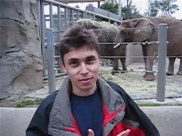 youtube爆红的中国视频,视频平台成就了多少网红