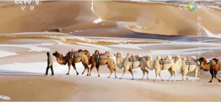 航拍中国宁夏详细景点,航拍中国宁夏详细笔记