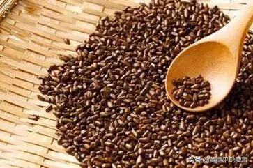 决明子甜叶菊蒲公英的功效与作用,决明子有哪些好处和功效