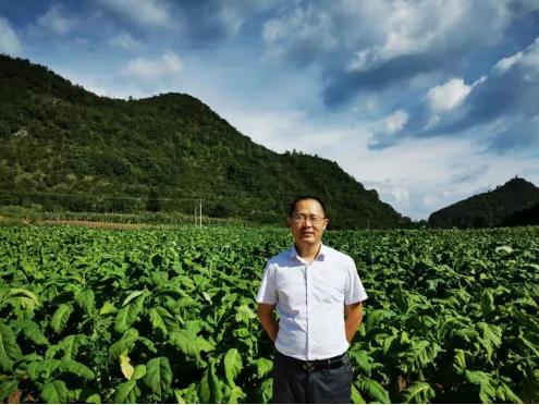 散养畜禽粪便的处理利用方法,畜禽养殖粪便处理项目