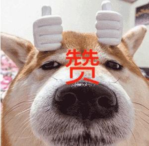 被狗咬狂犬病去世,被狗咬好几年没事还会得狂犬病吗