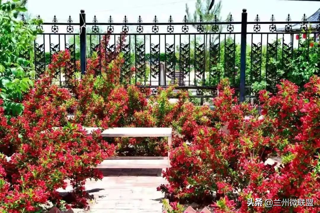 五一假日攻略西固,五一假日攻略兰州西固周边