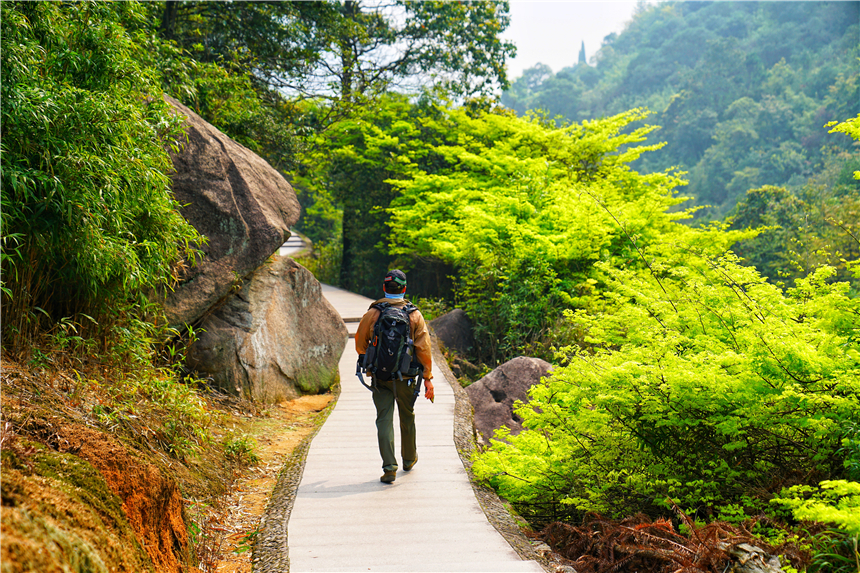 江南水乡旅游攻略四天三晚,温州旅行攻略四天三夜