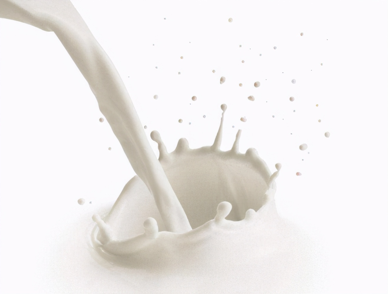 含钙的食物有哪些可以补钙,什么食物最补钙含钙高