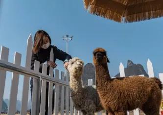 过年就近去哪里玩,新年去广西哪里玩