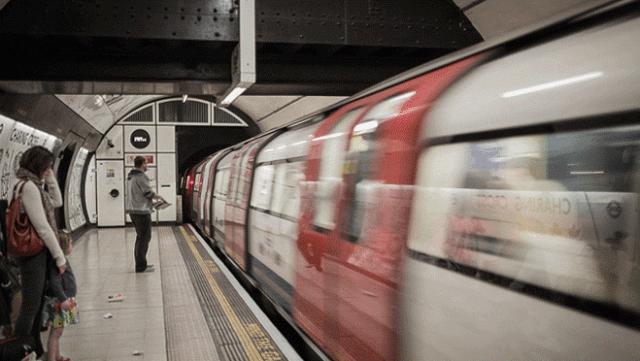 粤港澳大湾区生态环境中心,粤港澳大湾区生态科技产业园