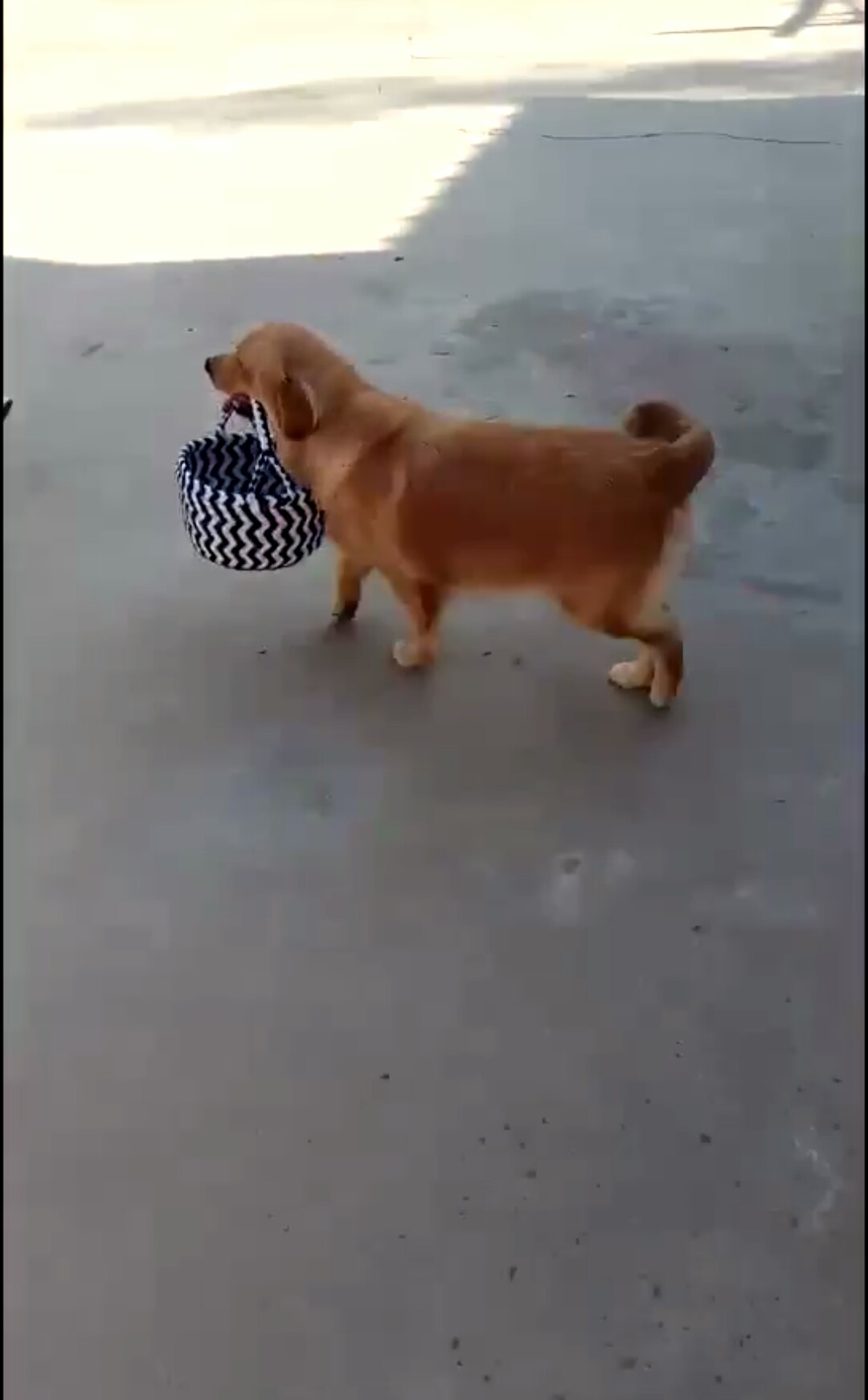 手工编织筐子立体花样图案教程,编筐图解