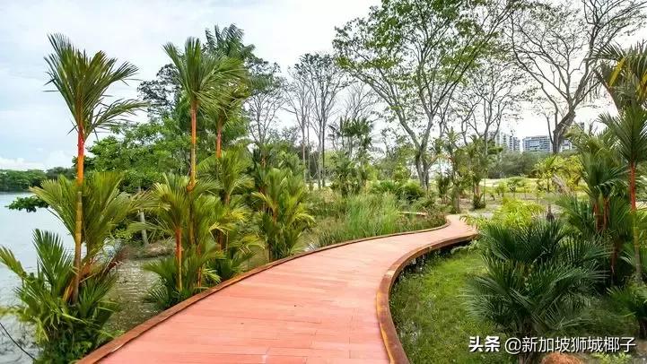 新加坡旅游攻略推荐花园,新加坡花园最新消息
