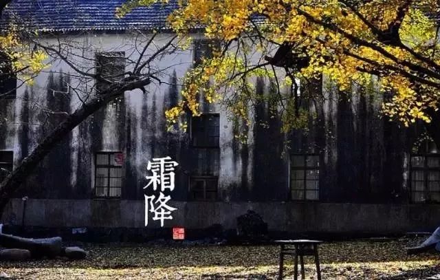 24节气适合喝什么茶,一年最热的节气宜喝什么茶