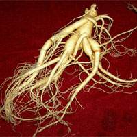 秦伯未八纲辨证,秦伯未治脾胃八法