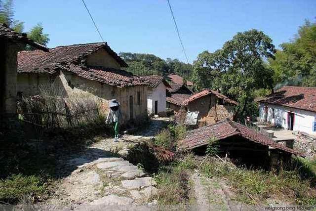 磨豆腐真的能赚钱吗,磨豆腐有多大利润