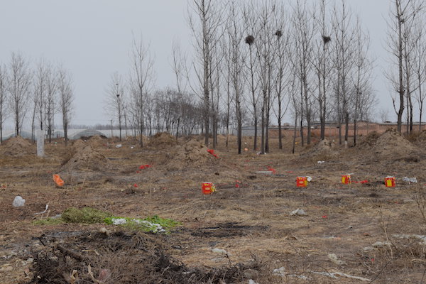 农村夜晚的鬼火怎么形成的,坟地里鬼火是怎么来的