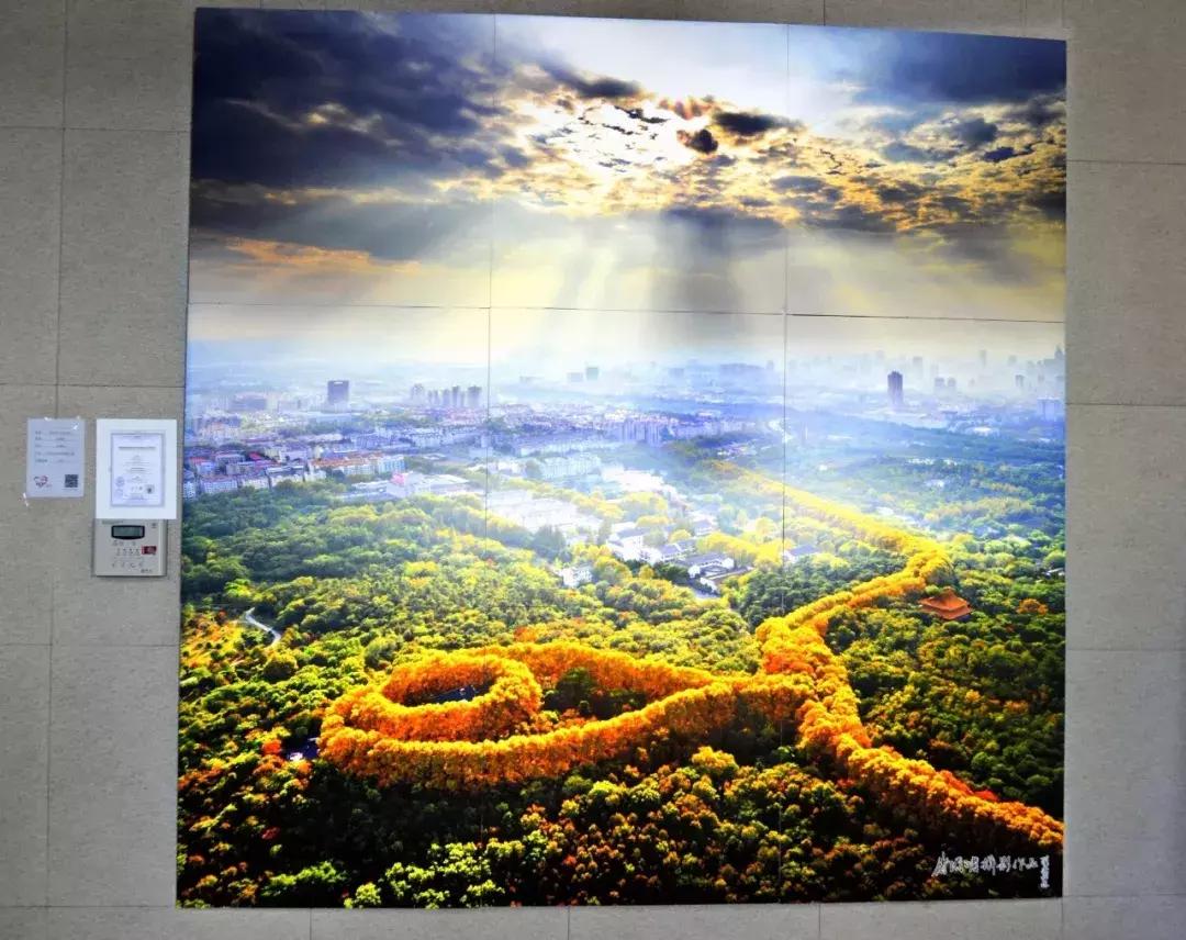 早春三月,金鹰湖畔,“爱的奉献”,与你相约......