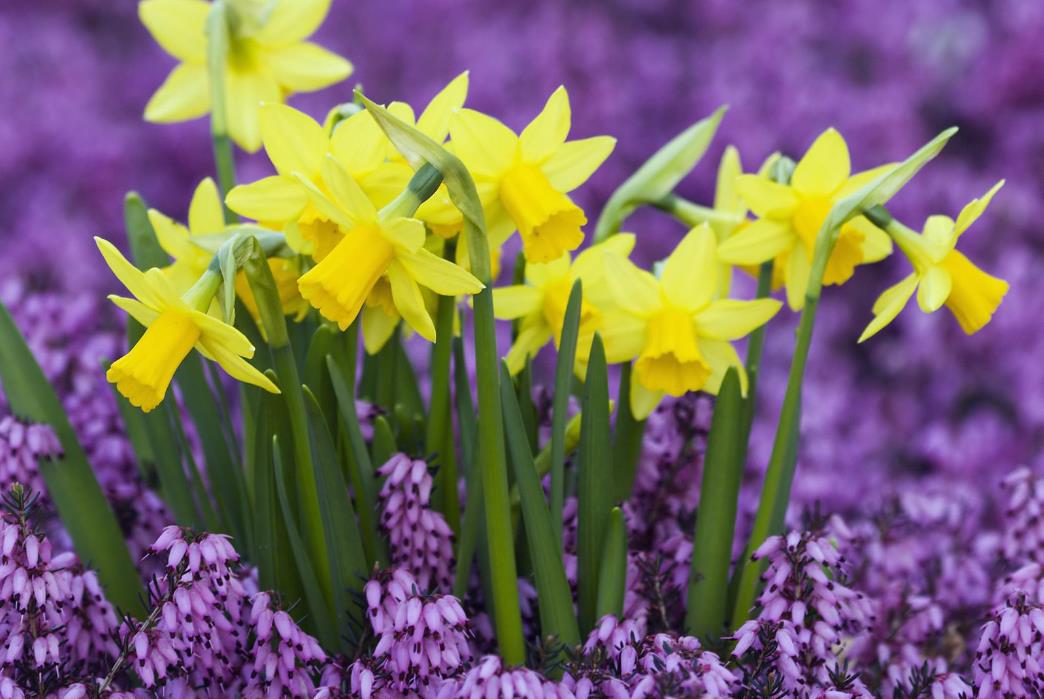 日子的滋味美文,小日子过得不错的美文
