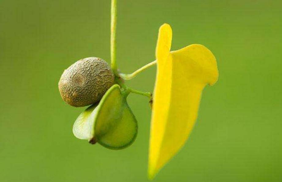 让生活过得活色生香,让你的生活香起来