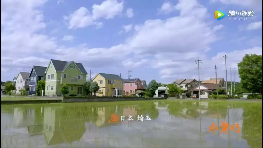 一部看完就想去买水果的纪录片，一次过见识50个城市的奇珍异果！