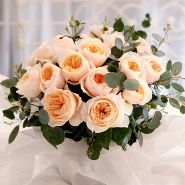 自己种的玫瑰花怎么没有花店的好,如何养花店买的玫瑰花