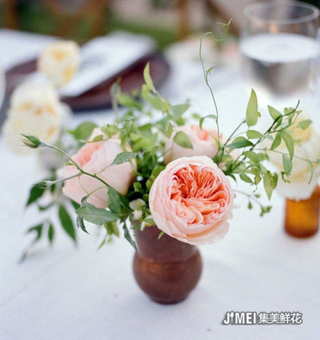 自己种的玫瑰花怎么没有花店的好,如何养花店买的玫瑰花