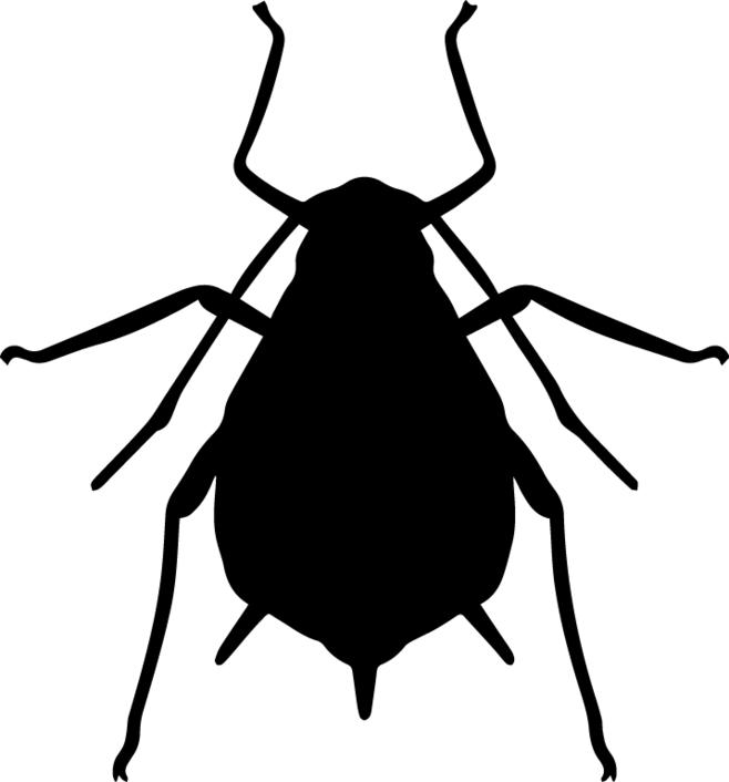 狗狗身上有虱子并有疙瘩怎么处理,狗狗身上有虱子的治疗方法