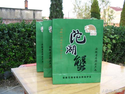 9.9两只阳澄湖大闸蟹你吃过么,正宗的阳澄湖大闸蟹精品