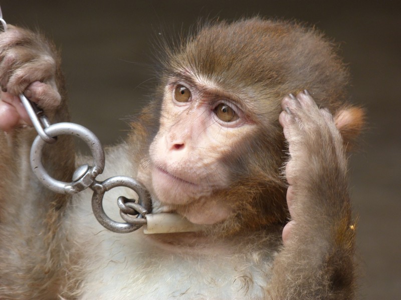 大学已经成为一些高知分子腐朽的温床