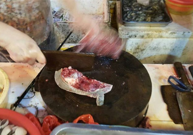 正确的宰龟方法,龟咋杀的