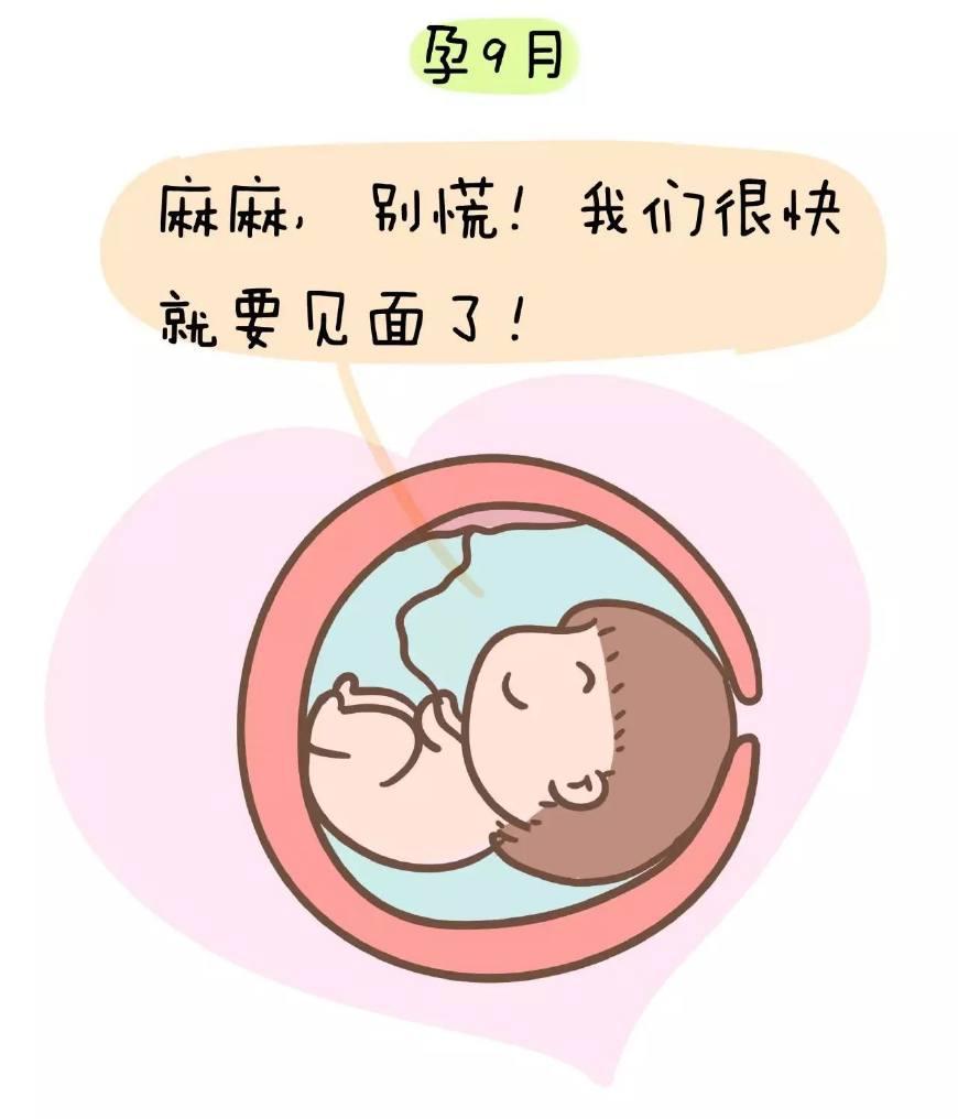 怀孕期间突然感到头晕冒冷汗,怀孕期间总是头晕怎么回事