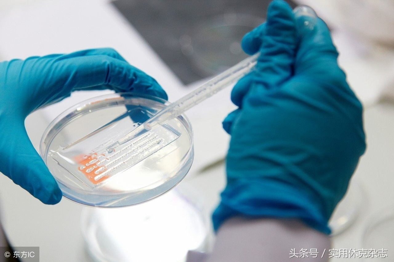 脓毒性休克与感染性休克的鉴别 (脓毒性休克要求多长时间纠正休克)