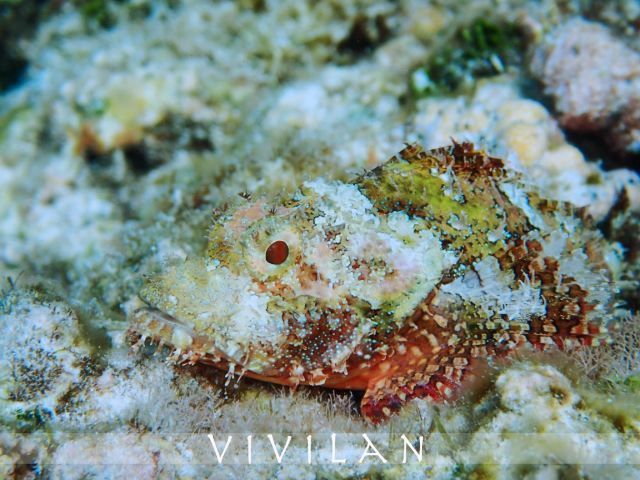 璀璨塞班：不止一抹蓝调的逐梦之旅