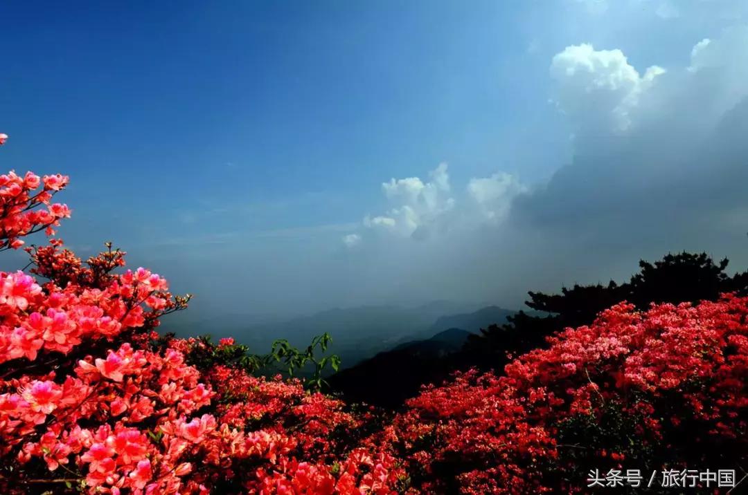 旅游最美的风景在火车上,一张火车票走遍中国最美的地方