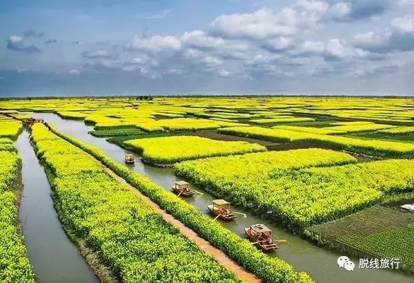 一秒钟搞定“花痴”攻略，别说我没帮你~