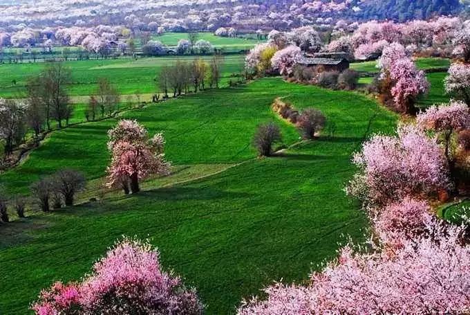 12月西藏最美旅行地排行,背包旅行西藏最美旅行时间表