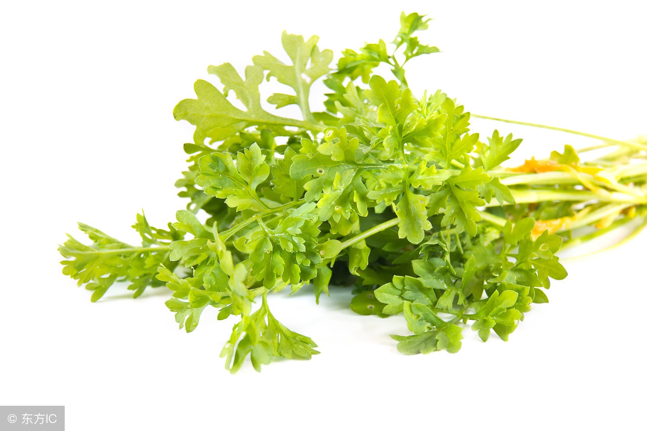 阳台种菜怎样种植才好活,用什么阳台种菜好养活一些