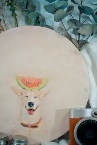 广州本周六活动推荐,深圳本周日活动推荐