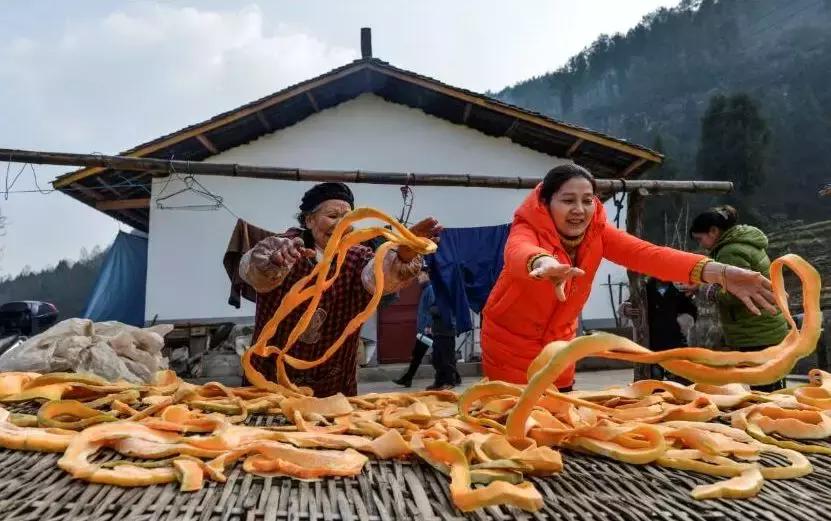 大山里的烟火人家,大巴山区通江县