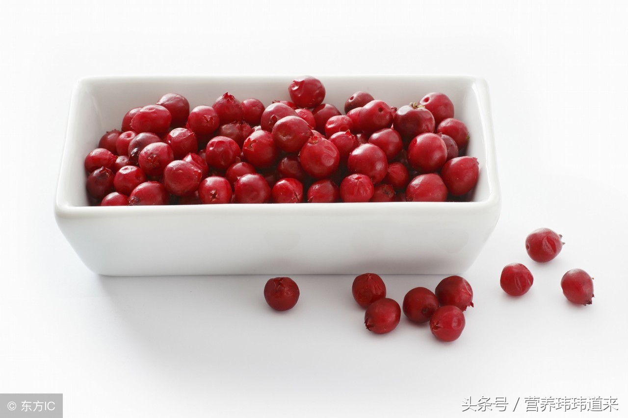 不老莓和蔓越莓哪个更好,澳洲蔓越莓圣洁莓怎么吃