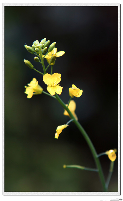 龙泉市好吃美食,丽水市龙泉市特色美食