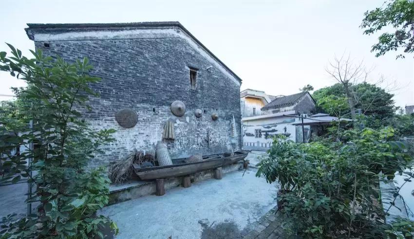 黄沙蚬新会,江门新会黄沙蚬季节