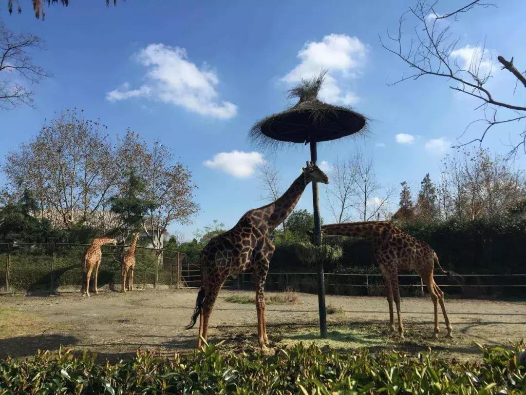 上海地铁1号线首末车时间最新,上海地铁最新首末班车时间